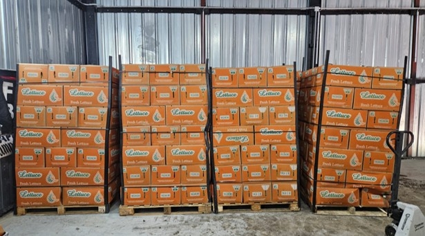 Man sentenced to decades in prison for trafficking meth in commercial truck shipments of lettuce