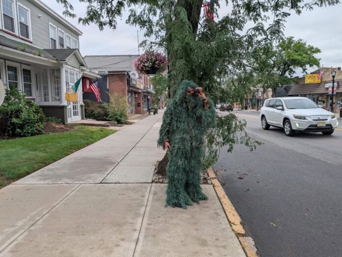 DBPD's shrub costume to catch distracted drivers.