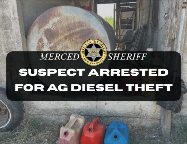 MCSO
