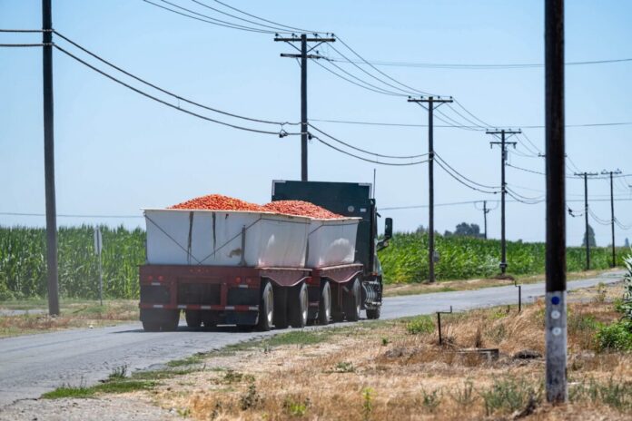CHP image of overweight tomato truck