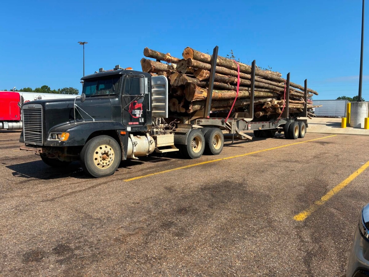Log truck ordered out-of-service after Texas troopers find 23 violations